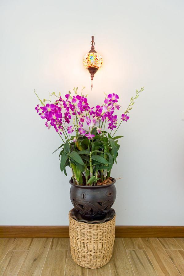 Villa Thai Orchid (Adults Only) Csiangmaj Kültér fotó